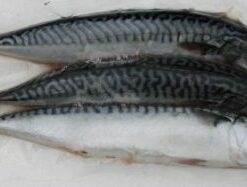 Sams Baits Joey Mackerel (PS003)