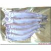 Smelts (PS004)