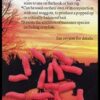 Enterprise Artificial Red Buoyant Maggots (ET006)