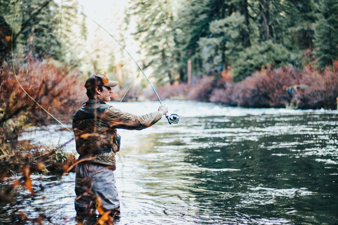 What is Coarse Fishing?